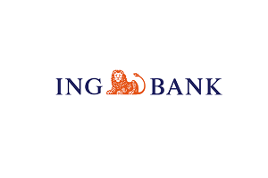 Automatische iMUIS Online bankkoppeling met de ING