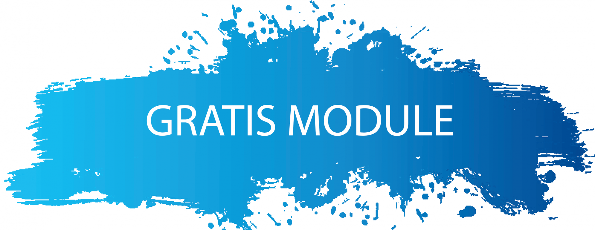 Gratis factureren met de gratis module Spitsfactuur